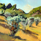 ulivi