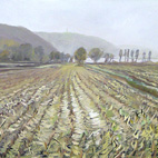 Paesaggio veneto