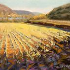Paesaggio veneto
