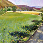 Paesaggio veneto